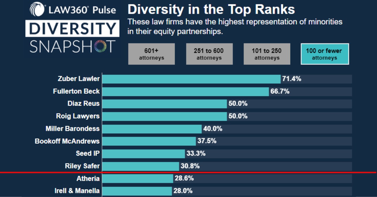 Diverse Equity Snapshot 2022