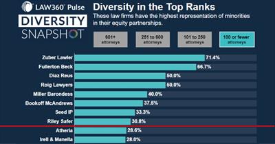 Diverse Equity Snapshot 2022 Diverse Equity Snapshot 2022